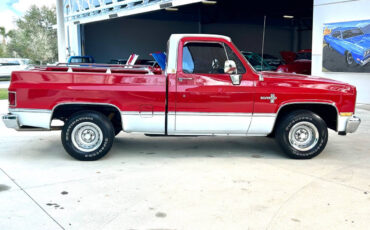 Chevrolet-Other-Pickups-1984-Pickup-Truck-3