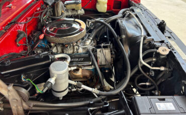 Chevrolet-Other-Pickups-1984-Pickup-Truck-30