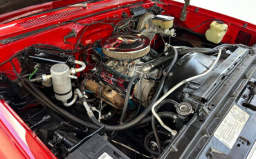 Chevrolet-Other-Pickups-1984-Pickup-Truck-31