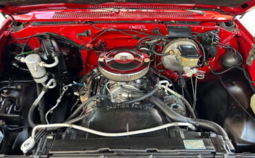 Chevrolet-Other-Pickups-1984-Pickup-Truck-32