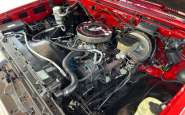 Chevrolet-Other-Pickups-1984-Pickup-Truck-33