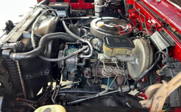 Chevrolet-Other-Pickups-1984-Pickup-Truck-34