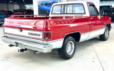 Chevrolet-Other-Pickups-1984-Pickup-Truck-4