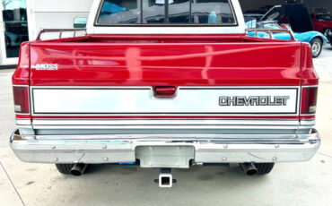 Chevrolet-Other-Pickups-1984-Pickup-Truck-5