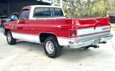 Chevrolet-Other-Pickups-1984-Pickup-Truck-6
