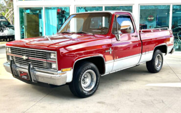 Chevrolet-Other-Pickups-1984-Pickup-Truck-8