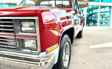 Chevrolet-Other-Pickups-1984-Pickup-Truck-9