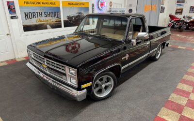 Chevrolet Other Pickups 1985 Pickup