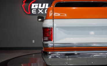Chevrolet-Other-Pickups-1985-Pickup-Truck-24