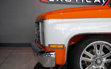 Chevrolet-Other-Pickups-1985-Pickup-Truck-30