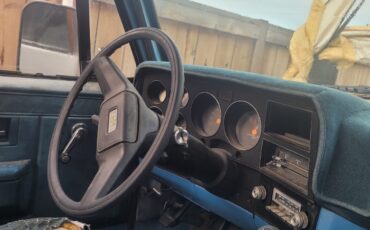 Chevrolet-Other-Pickups-1986-Pickup-Truck-3