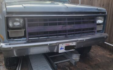 Chevrolet-Other-Pickups-1986-Pickup-Truck