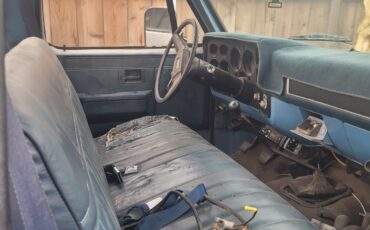 Chevrolet-Other-Pickups-1986-Pickup-Truck-4