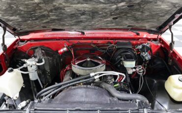 Chevrolet-Other-Pickups-1986-Truck-9