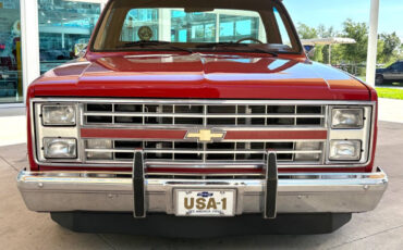Chevrolet-Other-Pickups-1987-Pickup-Truck-1