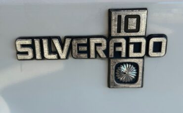 Chevrolet-Other-Pickups-1987-Pickup-Truck-10