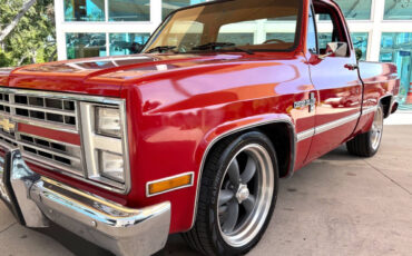 Chevrolet-Other-Pickups-1987-Pickup-Truck-10