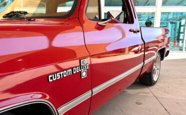 Chevrolet-Other-Pickups-1987-Pickup-Truck-11