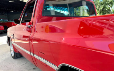 Chevrolet-Other-Pickups-1987-Pickup-Truck-12