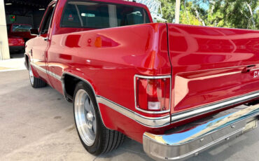 Chevrolet-Other-Pickups-1987-Pickup-Truck-13