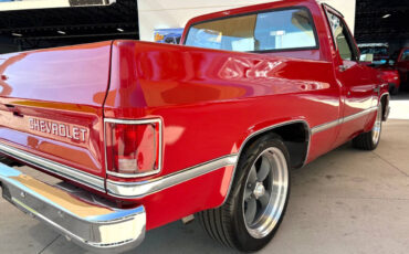 Chevrolet-Other-Pickups-1987-Pickup-Truck-14