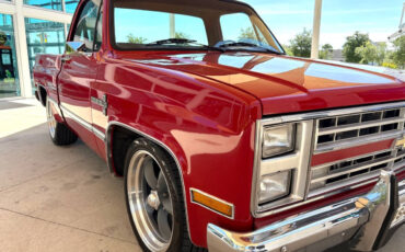Chevrolet-Other-Pickups-1987-Pickup-Truck-17