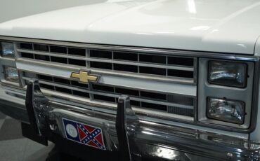 Chevrolet-Other-Pickups-1987-Pickup-Truck-17