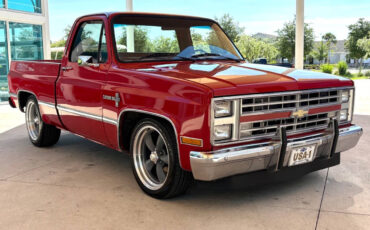 Chevrolet-Other-Pickups-1987-Pickup-Truck-2
