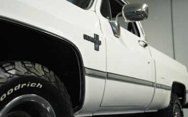 Chevrolet-Other-Pickups-1987-Pickup-Truck-20