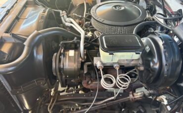 Chevrolet-Other-Pickups-1987-Pickup-Truck-22