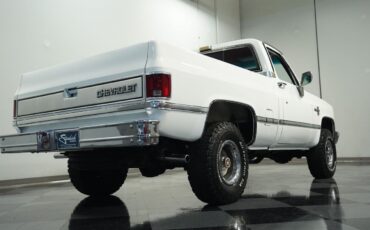 Chevrolet-Other-Pickups-1987-Pickup-Truck-24