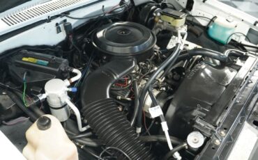 Chevrolet-Other-Pickups-1987-Pickup-Truck-29