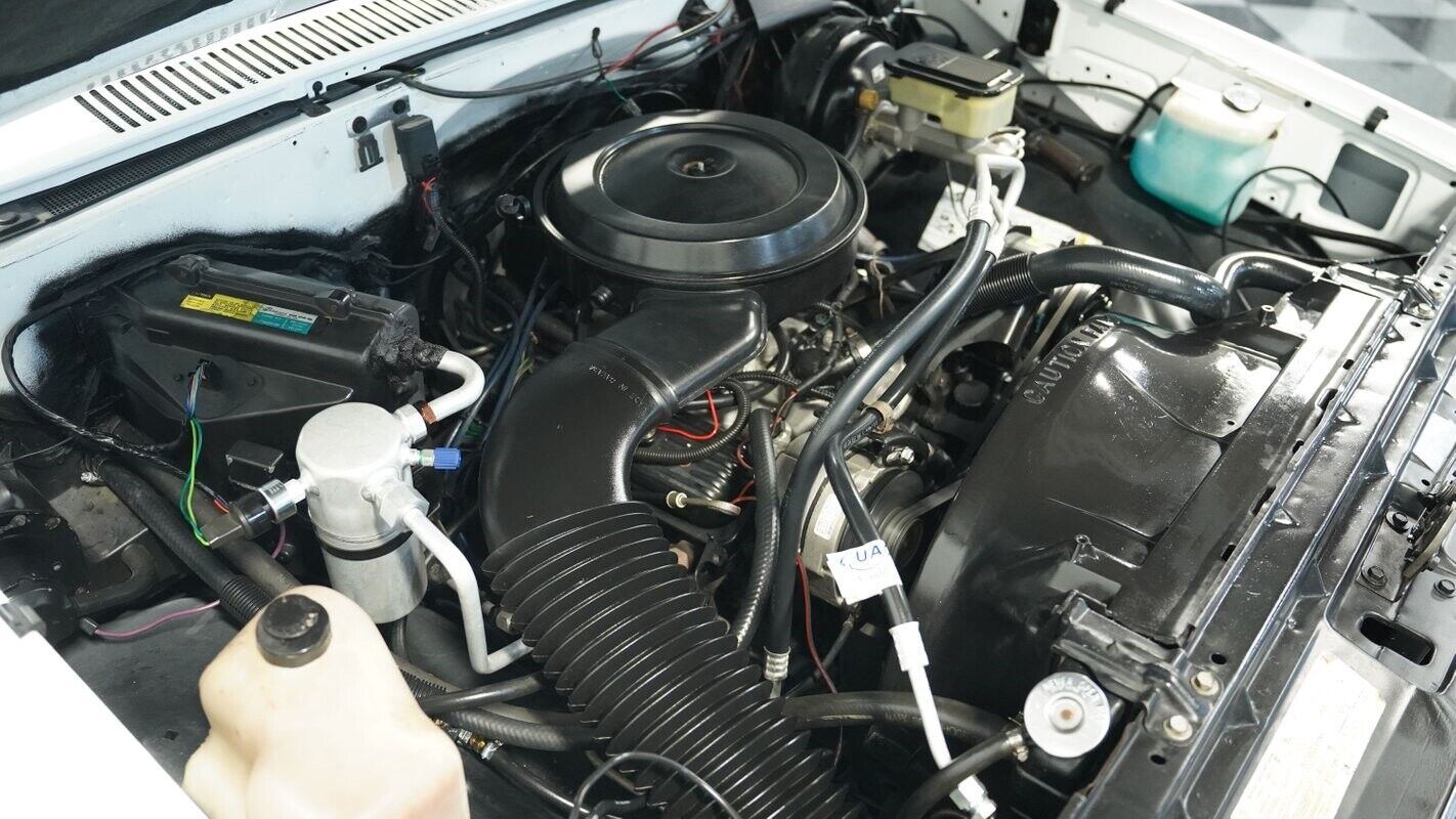 Chevrolet-Other-Pickups-1987-Pickup-Truck-29