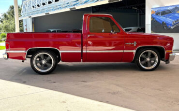 Chevrolet-Other-Pickups-1987-Pickup-Truck-3