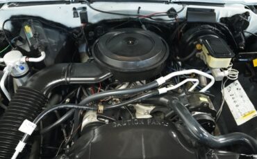 Chevrolet-Other-Pickups-1987-Pickup-Truck-3