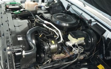 Chevrolet-Other-Pickups-1987-Pickup-Truck-30