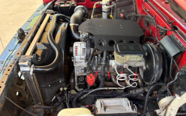 Chevrolet-Other-Pickups-1987-Pickup-Truck-31