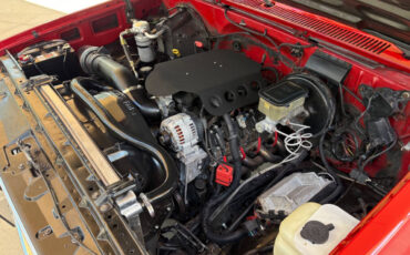 Chevrolet-Other-Pickups-1987-Pickup-Truck-32