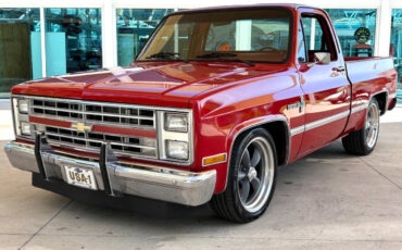 Chevrolet-Other-Pickups-1987-Pickup-Truck