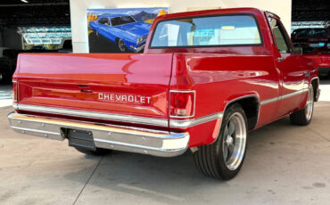 Chevrolet-Other-Pickups-1987-Pickup-Truck-4