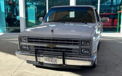 Chevrolet Other Pickups 1987 Pickup Truck