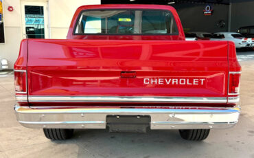 Chevrolet-Other-Pickups-1987-Pickup-Truck-5