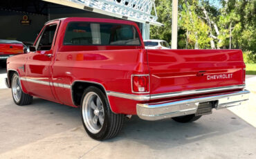 Chevrolet-Other-Pickups-1987-Pickup-Truck-7