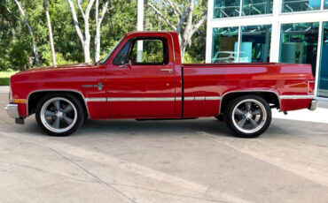 Chevrolet-Other-Pickups-1987-Pickup-Truck-8