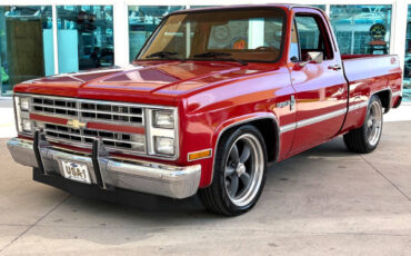 Chevrolet-Other-Pickups-1987-Pickup-Truck-9