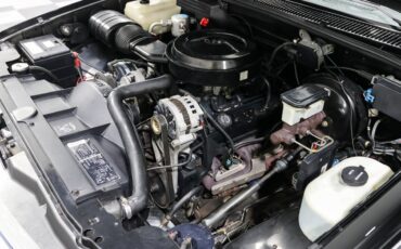 Chevrolet-Other-Pickups-1991-Pickup-Truck-10
