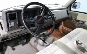 Chevrolet-Other-Pickups-1991-Pickup-Truck-12
