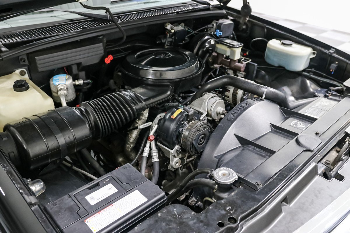 Chevrolet-Other-Pickups-1991-Pickup-Truck-8