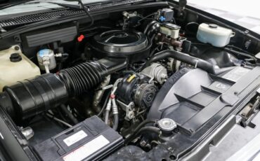 Chevrolet-Other-Pickups-1991-Pickup-Truck-8