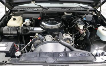 Chevrolet-Other-Pickups-1991-Pickup-Truck-9
